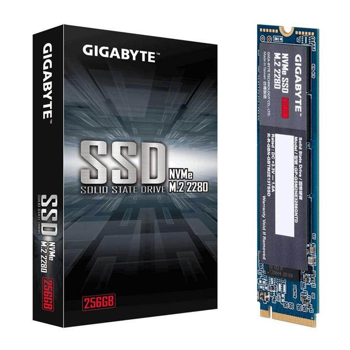 اس اس دی گیگابایت M.2 PCIe 256GB